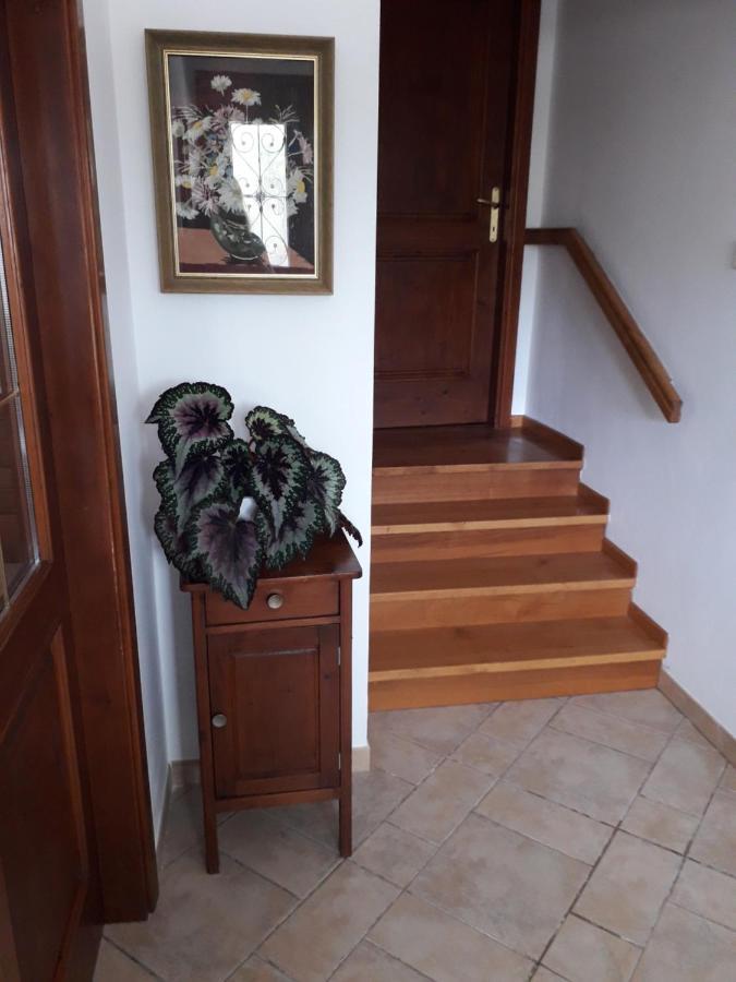 Vidin Raj Apartment Vremski Britof Exterior foto
