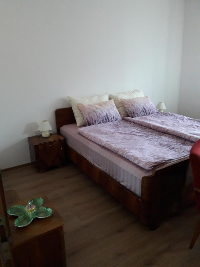 Vidin Raj Apartment Vremski Britof Exterior foto