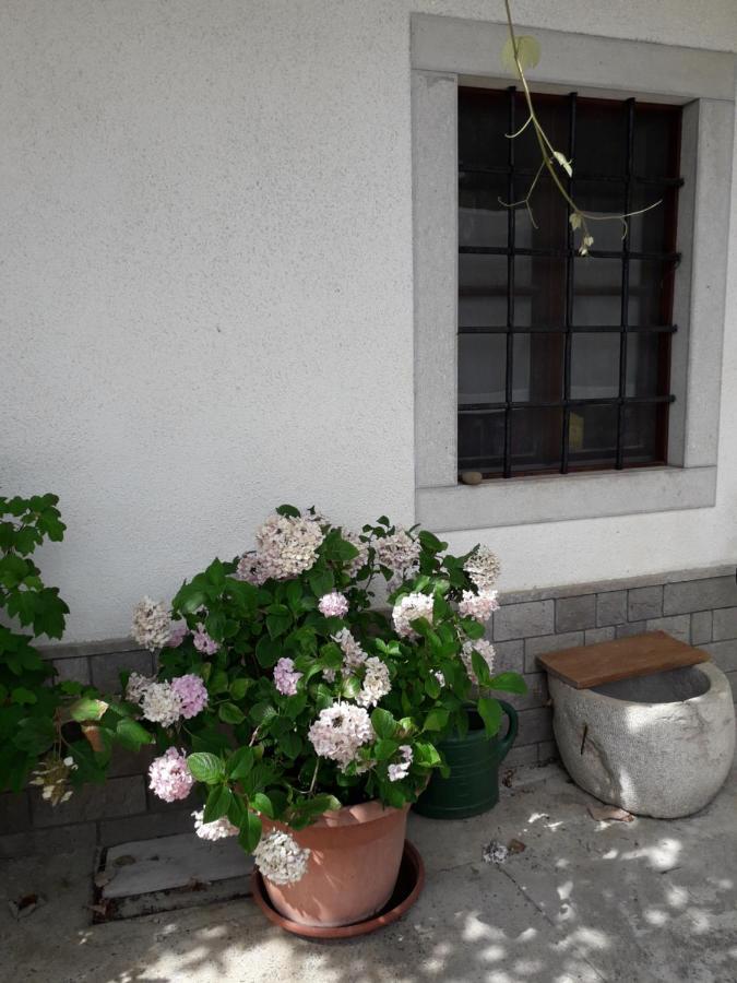 Vidin Raj Apartment Vremski Britof Exterior foto